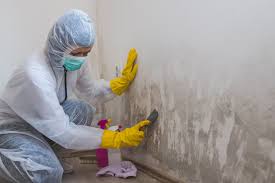 Best Comprehensive Air Testing for Mold Contaminants  in Bella Vista, CA